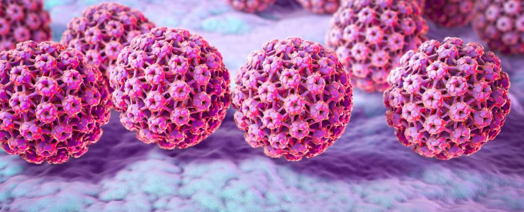 HPV test swab